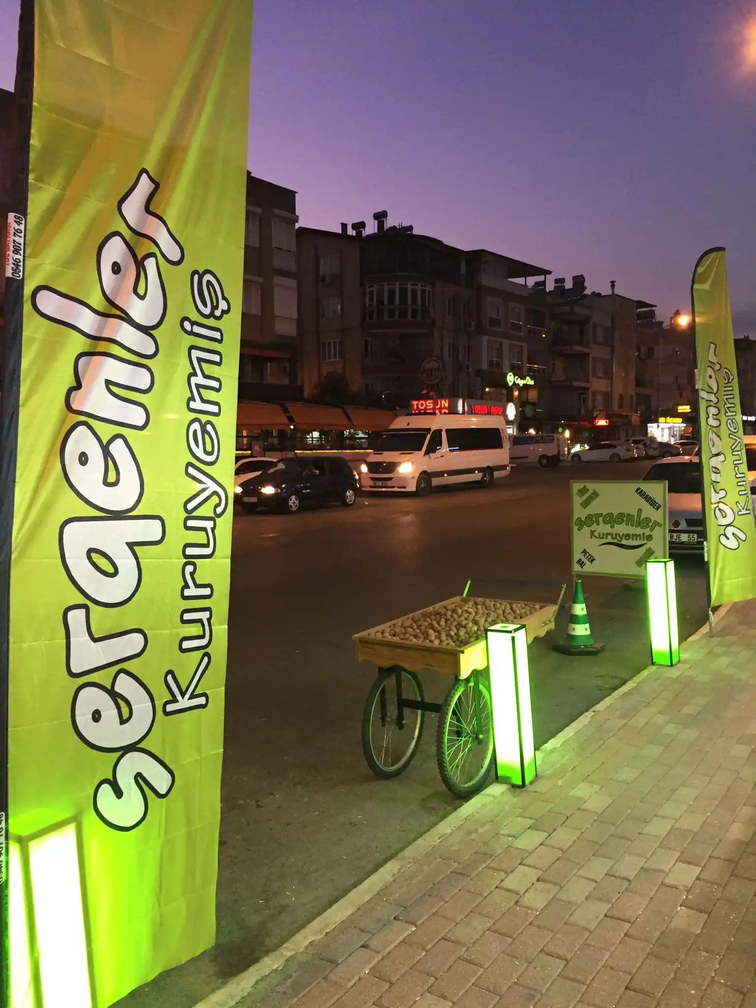 Kuruyemiçi Yelken Bayrağı-12