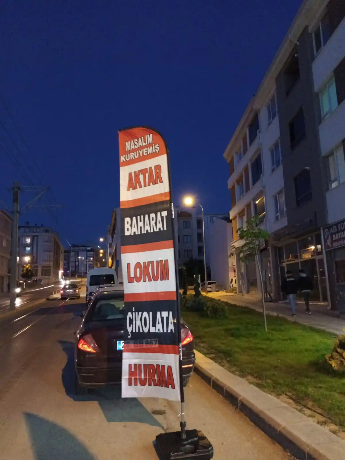 Kuruyemiçi Yelken Bayrağı-14